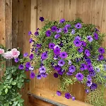 Haus Schartner Aloisia *