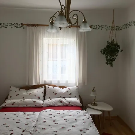 Haus Schartner Aloisia * Altaussee