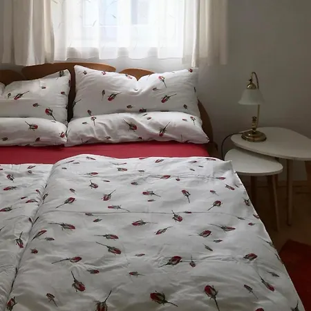 Haus Schartner Aloisia Apartment Altaussee