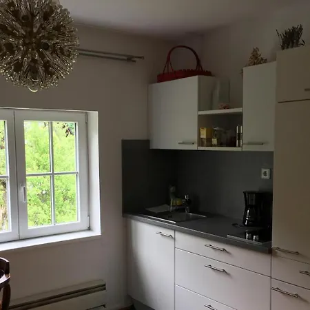 Haus Schartner Aloisia Apartment Altaussee