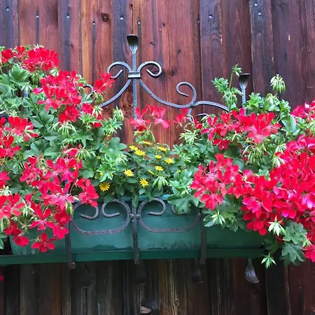 公寓 Haus Schartner Aloisia *