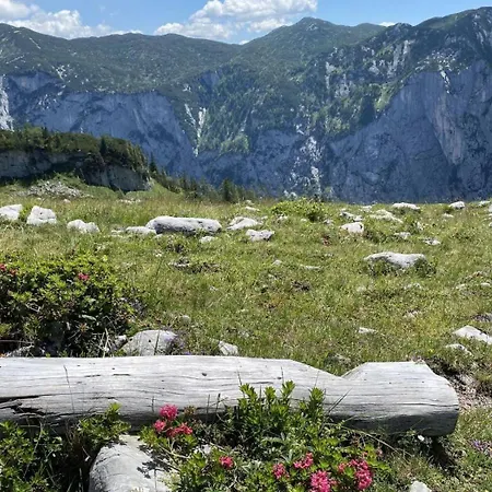 Haus Schartner Aloisia 아파트 *