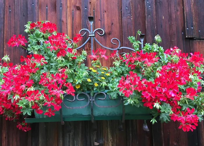 Appartement Haus Schartner Aloisia *