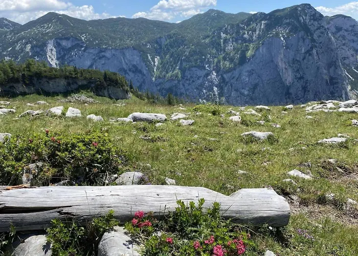 Haus Schartner Aloisia 아파트 *