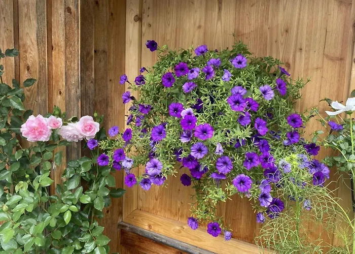 Haus Schartner Aloisia *